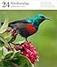 Audubon Nature Page-A-Day® Gallery Calendar 2027