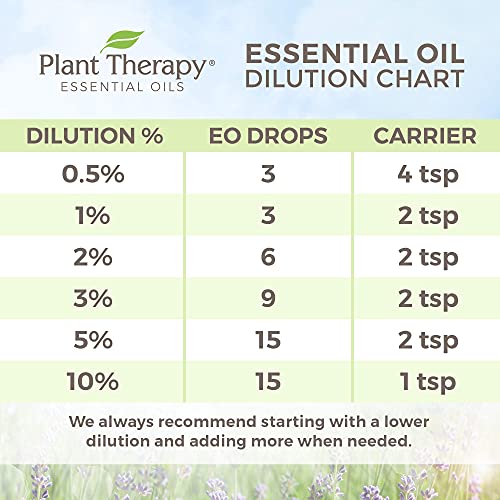 Plant Therapy Cypress Essential Oil 100% Pure, Undiluted, Natural Aromatherapy, Therapeutic Grade 10 mL (1/3 oz)