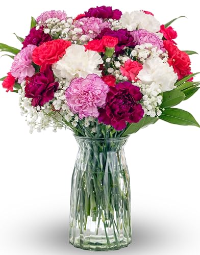 Benchmark Bouquets - Carnation Mix - Fresh Flowers for Delivery - Mothers Day Flowers - Get Well Gifts for Women - White, Purple and Pink Floral Bouquet - Glass Vase Included (26 Stems)
