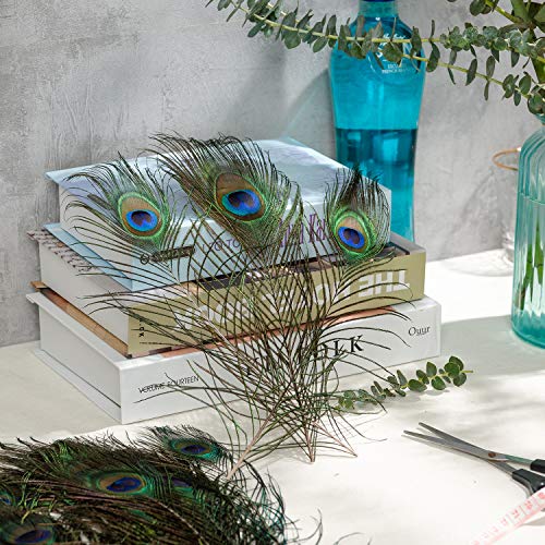 Piokio 200 Pcs Peacock Feathers In Bulk 10-12 Inch(25-30 Cm) Bulk For Diy Craft, Wedding, Halloween Decoration #TOP2