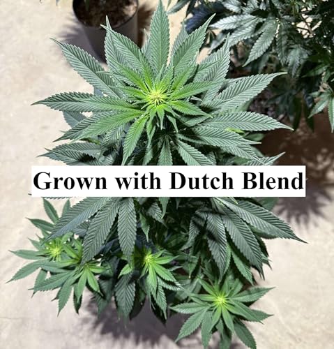 Image of 11-11-18 Weed Fuel 1-Part Complete Hydroponic Nutrients with CalMag for Veg-Bloom - Dutch Blend Commercial Fertilizer - Better Than Mega Crop & Masterblend
