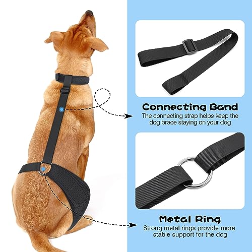 Image of Dog ACL Knee Brace for Pet Recovery, Adjustable Straps, Universal Fit, Supportive and Comfortable, for Small, Medium, Large Dogs (X-Large, Black Right)