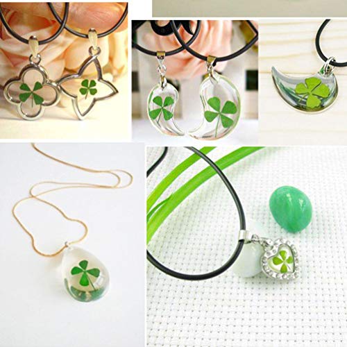 Flores prensadas secas de trébol de cuatro hojas para manualidades miniatura 4