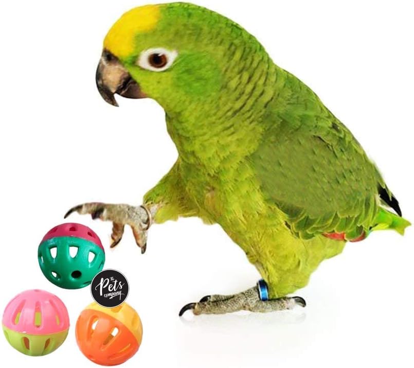The Pets Company Bird Interactive Bell Ball, Bird Toy for Parakeet, Cockatiel, Budgerigar, Parrots, 1.5 Inches (Pack of 3)
