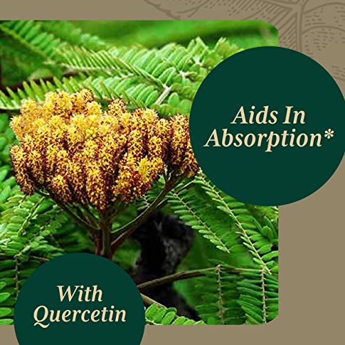 Gaia Pro Mast Cell Formula - Antioxidant Activity & Immune Support Supplement - Feverfew, Ginger, Goldenseal, Nettle, Quercetin, Turmeric & Black Pepper - 60 Vegan Liquid Phyto-Capsules (20 Servings) #TOP2