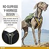 Lightweight Dog Saddle Bag with Pockets