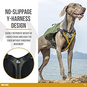 OneTigris-Y-Shaped-Dog-Backpack-with-Handle-Pockets-No-Pull-D-Rings-Lightweight-Hiking-Gear-for-Dogs-Hunting-Camping-Travel-Large-Green - Cucciolini Doodles   OneTigris-Y-Shaped-Dog-Backpack-with-Handle-Pockets-No-Pull-D-Rings-Lightweight-Hiking-Gear-for-Dogs-Hunting-Camping-Travel-Large-Green