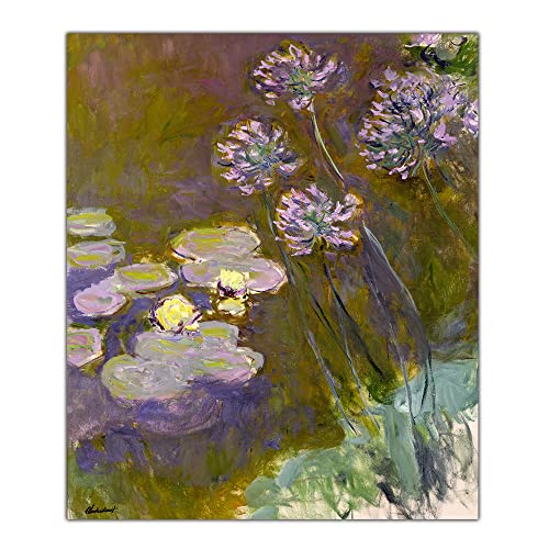 Peinture 5D Monet nénuphars et agapanthe kit créatif pour s'évader et créer