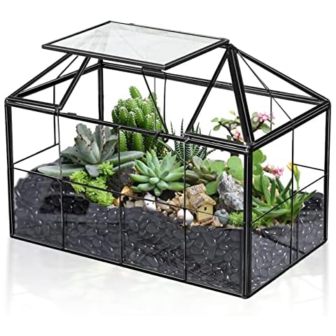 Ferrisland Air Plant Terrarium Glass - House Succulent Glass Terrarium Large Geometric Planter w/ Lip for Succulent Fern Air Plant Tabletop DIY Gift - Miniature Greenhouse Wedding Card Container Cover