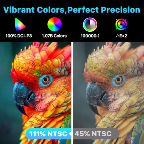 Multi Function 4K OLED monitor