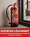 2er-Paket - KÖNIG BRANDSCHUTZ- Feuerlöscher Pulver | 6 kg | Geeignet für die Brandklassen - ABC | nach DIN EN3 | Dauerdruck 10 LE | Inkl. Wandhalterung mit Manometer (2 x Pulver 6KG)