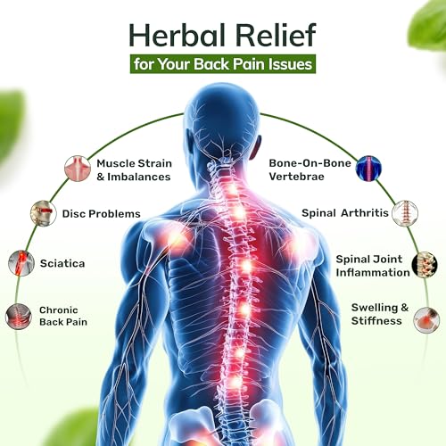 Image of FlexiBack Warming Herbal Back Pain Patches with 12-Hour Extra Strength & Adhesion - Bone-on-Bone, Spinal Joint Inflammation & Muscle Strain Support - 12 Heat Patches for Lower Back Pain Relief