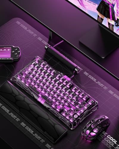 undefined 0.01mmラピッドトリガー 搭載 GravaStar Mercury V75 lite ゲーミングキーボード 有線 着脱式ケーブル ポーリングレート4000Hz対応 有線 75%レイアウト US配列 アクチュエーションポイント バックライトRGB 磁気式スイッチ 透明ブラック の商品画像 8