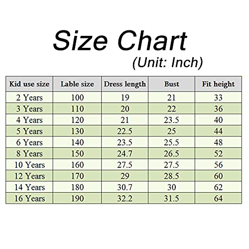 Girls Shift Flower Lace Dress Kids Long Sleeve Casual Flower Girl Dress(005-Beige-170 #TOP6