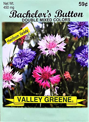 Set of 100 Bachelor’s Button - Double Mixed Annual Flower Seed Packets - Bulk Flower Seeds - Perfect for Creating your Dream Garden! - Includes 50 Packets of Bachelor Button Seeds!