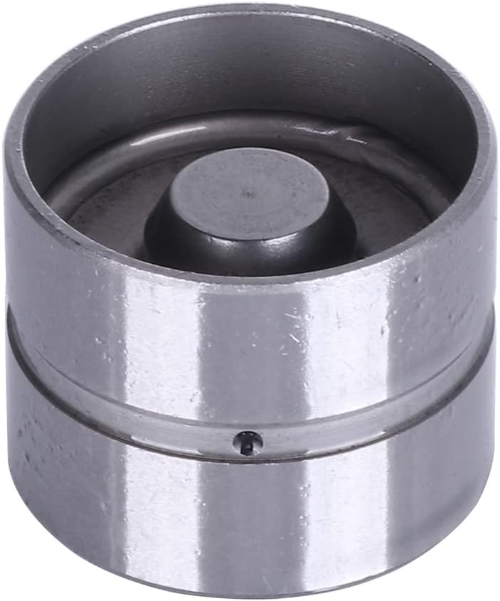 ROADFAR 16 Pack Hydraulic Valve Adjuster Valve Lifter Fit For Ford For Kia For Mazda For Mercury Replaces 85005200 LIF425 LIFMA13 LF6007 LIFMA13 17120070 HT-2270 213-1756 HL118