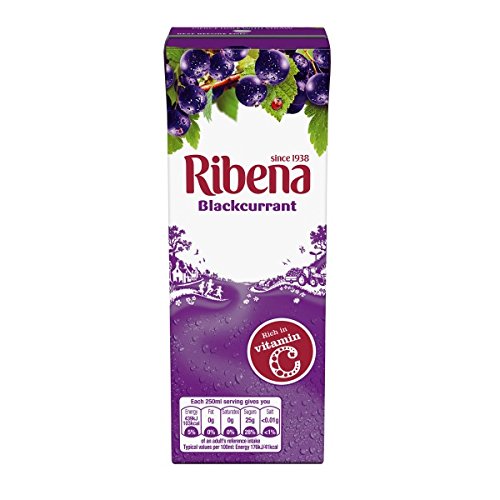Blackcurrant Carton | 250ml x 24