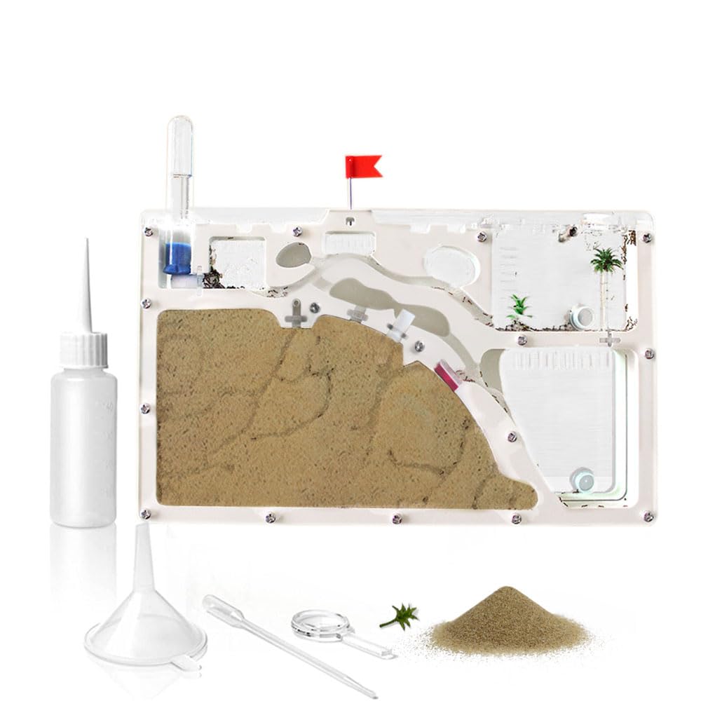 Amazon.com: ELNMLHT Ant Farm Castle, Ant Farms with Yellow Sand