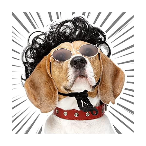 Mtlee 6 pieces wigs for dogs funny dog wig retro pet round sunglasses dog cosplay costumes accessories small dog headwear for holiday party decor - image 6