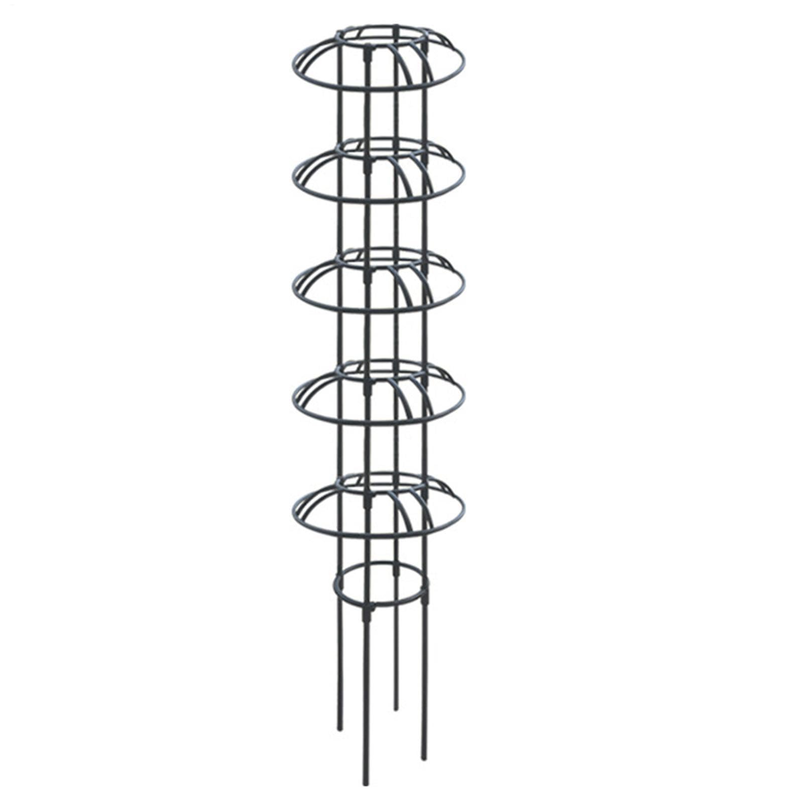 Kletterpflanzen-Rankhilfe Rostfrei | Obelisk-Spalier als Rankhilfe für Clematis, , Blumen, , , Kletterpflanzen im Innen- & Außenbereich, Gewächshaus