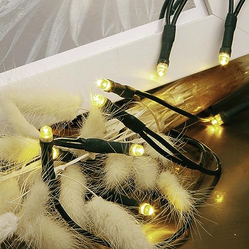 hellum LED Lichterkette innen Mini Lichterkette 20 LEDs warmweiß 2 85 m beleuchtet grünes Kabel mit Stecker für Weihnachtsbaum Tischdeko Regal <59 lm 579321