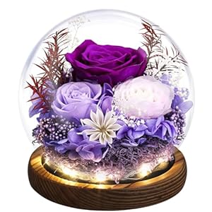 Emibele Mother’s Day Eternal Rose Gifts for Mom, Preserved Real Rose in Glass Dome with LED Light for Decoration, Flowers for Delivery Prime, Gifts for Women Wife Her on Birthday Anniversary, Purple