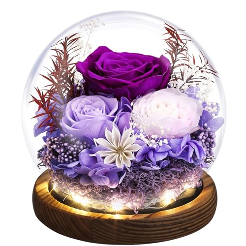 Emibele Mother's Day Eternal Rose Gifts for Mom, Preserved Real Rose in Glass Dome with LED Light for Decoration, Flowers for Delivery Prime, Gifts for Women Wife Her on Birthday Anniversary, Purple