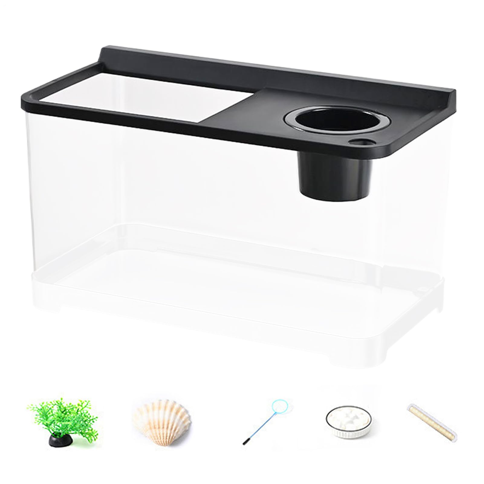 Aquarium pour Betta avec Éclairage 3 Couleurs Aquarium Haute Transparence | Écosystème Élégant pour Bureau Maison Entrée Chambre à Coucher