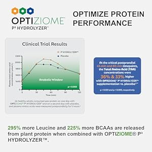 Vegan sport protein powder vanilla30g plant based protein velositol bcaas organic greens fruits probiotics tart cherry for post workout recovery inform sports certified keto 20 servings  urban country home decor