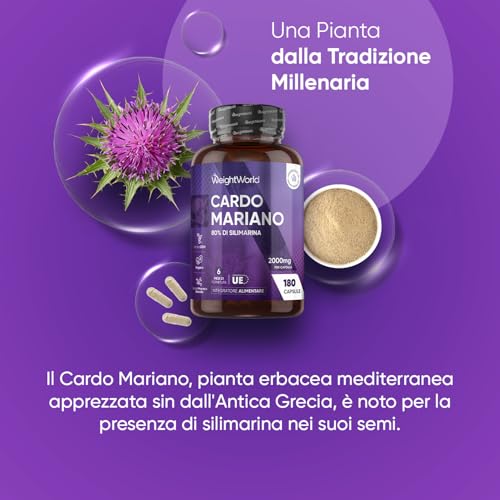 Cardo Mariano 80% Silimarina, 1 Capsula al Giorno Pari a 2000mg, Scorta 6 Mesi, 180 Capsule Vegan Senza Magnesio Stearato, Polvere di Cardo Mariano Puro, Cardo Mariano Silybum Marianum (Milk Thistle) - 2