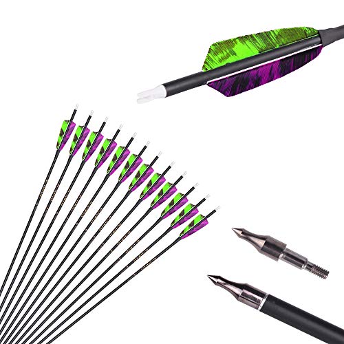 500 Spine Arrow 26 Inch Arrow Target Practice Arrow Hunting Arrow Carbon Arrows Compound Bow Recurve Bow Adult Youth Archery Indoor Outdoor Shooting Field Tip