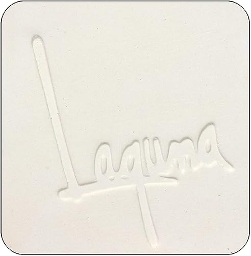 Laguna Arcilla - Arcilla Whiteware (bajo fuego) - Sin talcless - Textura suave - EM100 (10 libras)