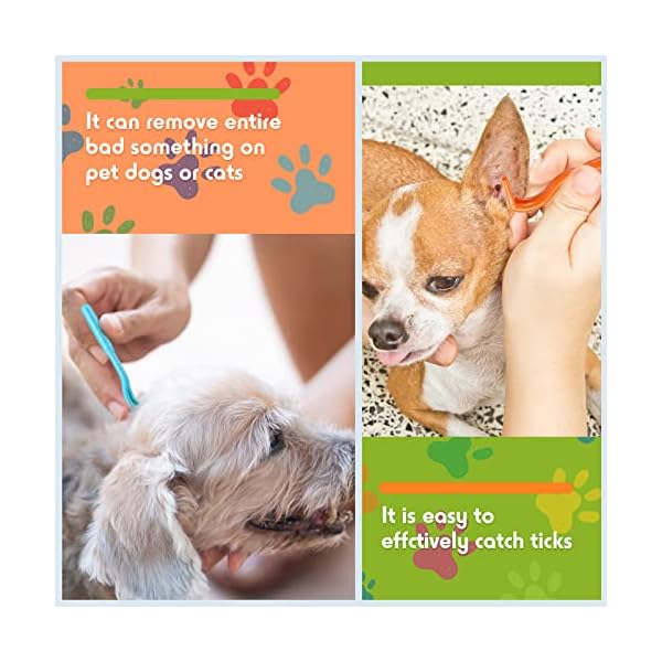 Kittmip 48 Pack Tick Removal Tool Tick Remover for Dogs, Cats and Humans Plastic Tick Puller Tick Grabber, 3 Sizes (Green, Rose Red, Orange, Blue) Kittmip 48 Pack Tick Removal Tool Tick Remover for Dogs, Cats and Humans Plastic Tick Puller Tick Grabber, 3 Sizes (Green, Rose Red, Orange, Blue)