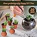 Gerrii 20 Pcs 0.9'' 1.2'' Terracotta Pot Small Mini Clay Tiny Flower Pots with Drainage Hole Pottery Planter for Indoor Outdoor Plants DIY Craft Desktop Windowsill Decor, 2 Styles