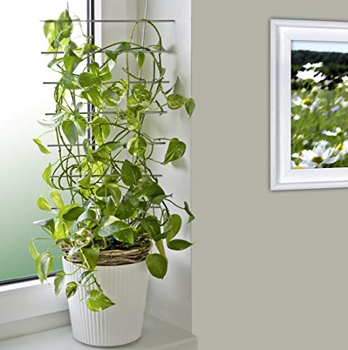 Windhager 05708 - Tutore in Metallo per Piante, 44...