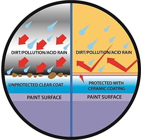 Proje Premium Car Care Ceramic Coating - Long Lasting 12+ Month Protection - SiO2 Ceramic Coating - Safe on All Surfaces - Hydrophobic Ceramic Sealant For Cars, RVs, Motorcycles, Boats, and ATVs - 8 oz