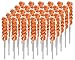COLORSPLASH LOLLIPOPS Jar, 30 Pops, 12.69 oz, Orange