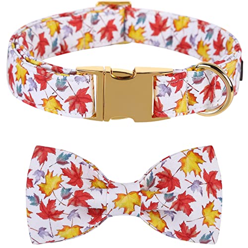Lionet Paws Dog Collar with Bowtie, Autumn Bowtie for Dogs, Adjustable Comfortable Dog Collar Girl Boy, M, Neck 34-55cm