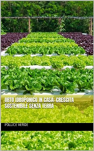 ORTO IDROPONICO IN CASA: CRESCITA SOSTENIBILE SENZA TERRA