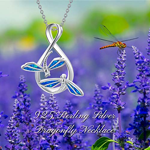 Rmrewy Dragonfly Infinity Necklace 925 Sterling Silver Double Dragonfly Pendant Jewelry Birthday Valentine's Day Mother's Day Gift For Women Mom Girls #TOP1