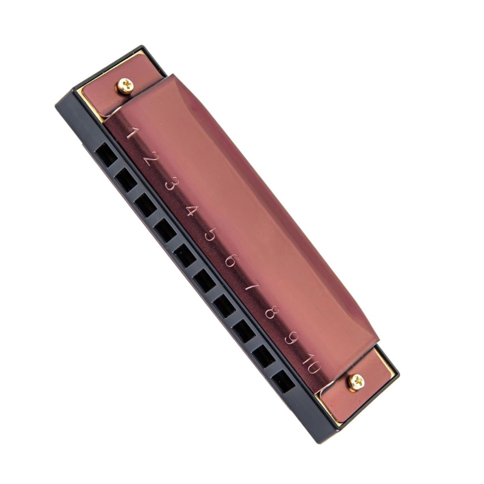 10 Loch 20 Ton Diatonische Mundharmonika Edelstahlabdeckung C Dur Mundharmonika In C