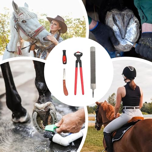 Outils de finition pour poney et couteaux à parer les sabots de chèvre