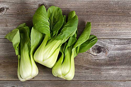 Seeds Chinese Cabbage Bok Choy Beautiful Heirloom Vegetable for Planting Non GMO