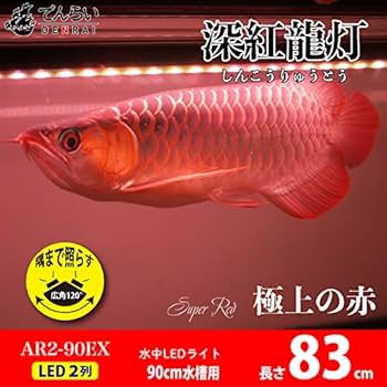 アクシーL10 600 ブルー・ホワイト LEDライト紅龍　テンニング　メタハラ アクシーL10 600 ブルー・ホワイト LEDライト紅龍テンニングメタハラ