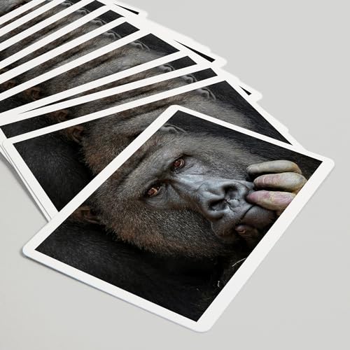 Lantern Press Gorilla Face 52 naipes tamaño póker miniatura 5