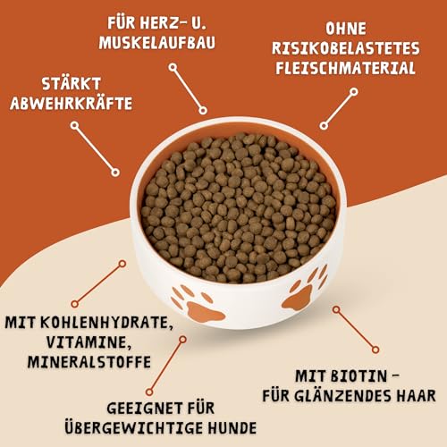 Ropo Dog Hunde Trockenfutter 15 kg – für ältere Hunde ab 7 Jahren, Senioren-Kräcker Vollnahrung mit Lecithin, leicht verdaulich, ohne künstliche Zusätze, Premium-Qualität für alle Rassen
