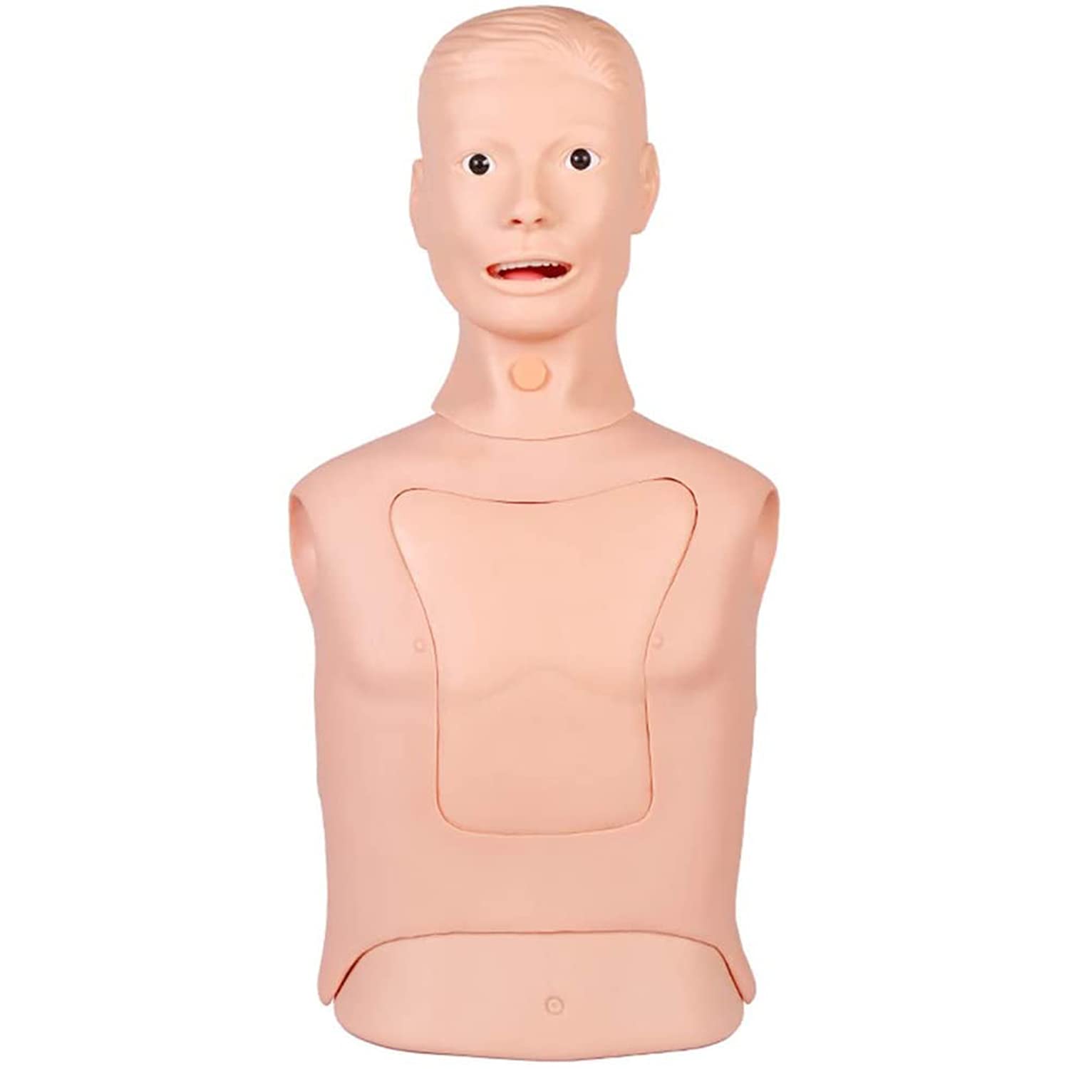 Mannequin D'Entraînement Thoracentèse KAS/9XB - Pour Drainage - Neuf - Modèle Médical