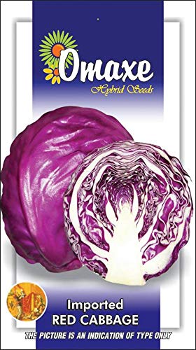 Omaxe Seeds Red Cabbage Imported Exotic Seeds Kitchen Garden Packet (B07MCCY6VS) Amazon Price History, Amazon Price Tracker