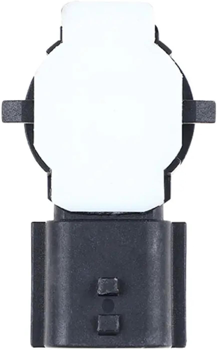 初売り特価！長期管理株 低重心 大株 ボスウェリア ネグレクタ 現地球