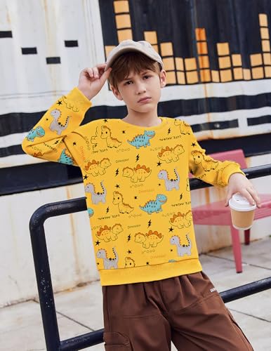 Arshiner Toddler Boy Crewneck Sweatshirt Long Sleeve Pullover Graphic Shirts for Kid Fall Tops Tees 2-10 Years3